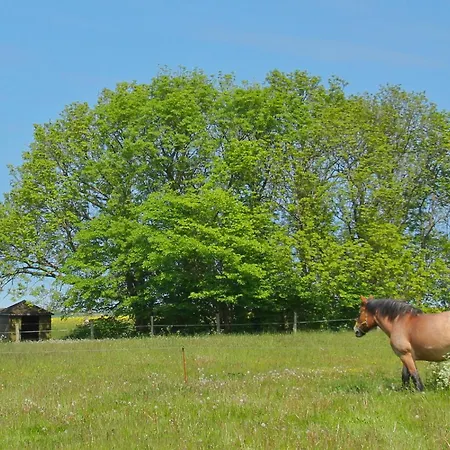 Lägenhet Ferienresidenz Kap Arkona 07