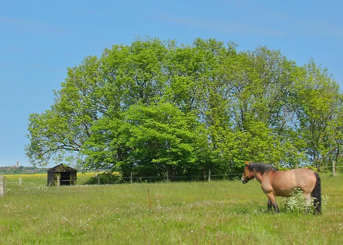 アパート Ferienresidenz Kap Arkona 07